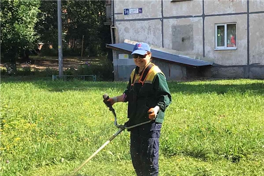 До наступления пасмурной погоды завершили третий этап покоса травы