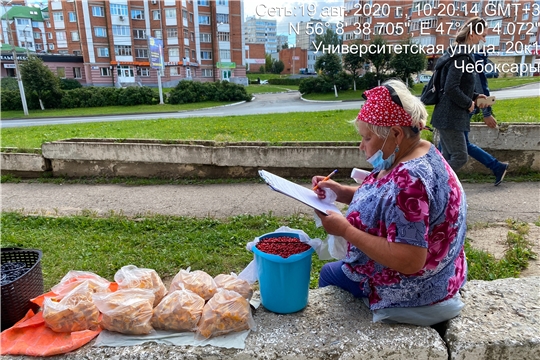 Торговля должна быть в установленных местах и с разрешающими документами