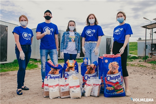Волонтеры ЧГУ им. И.Н. Ульянова проводят благотворительную акцию «Лапа дружбы»
