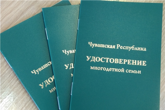 Система «Инцидент менеджмент» разъясняет, как получить удостоверение многодетной семьи