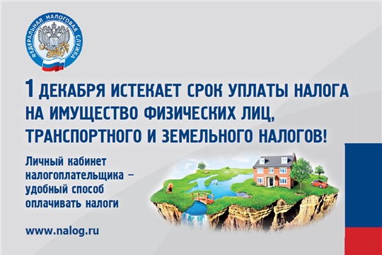 Оплатить налоги необходимо до 1 декабря