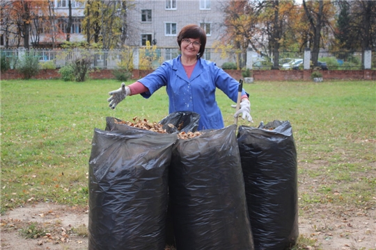 К осеннему санитарно-экологическому месячнику присоединяются трудовые коллективы