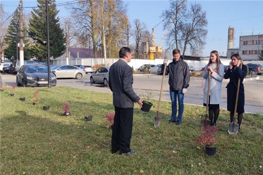Общественные организации чебоксарского объединения высадили декоративные кустарники
