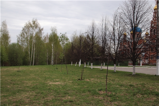 В Новочебоксарске определили место  для будущего «Сада памяти»