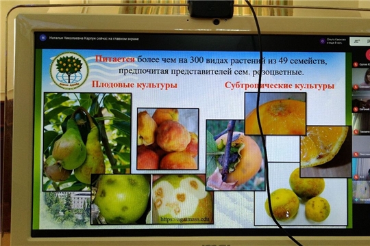 Международную конференцию «Перспективы развития аграрных наук» AgroScience-2020 провели в режиме онлайн