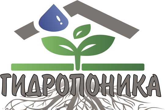 В Центре одаренных детей и молодежи «Эткер» открылась новая мастер-студия «Гидропоника и Аквапоника – первые шаги»