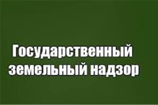 Росреестр не будет проводить плановые проверки юрлиц и ИП до конца 2020 года