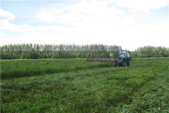 Сельскохозпредприятия Порецкого района ведут заготовку кормов