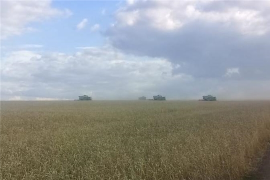 В Порецком районе в разгаре уборочная страда