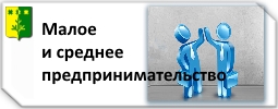 Малое и среднее предпринимательство