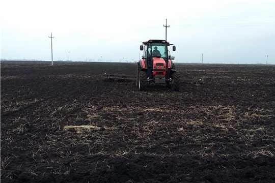 Информация  по весенним полевым работам в хозяйствах Шемуршинского района
