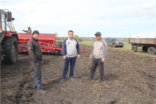 Хĕвел хăпарать çỹлелле, хресчен васкать уй-хире