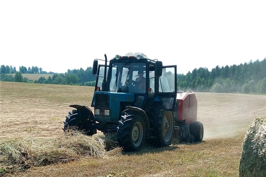 В хозяйствах Шемуршинского района продолжается заготовка кормов