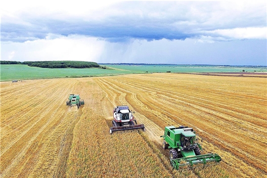 На 2 сентября аграрии республики намолотили зерна на 200 тыс. тонн больше, чем в прошлом году