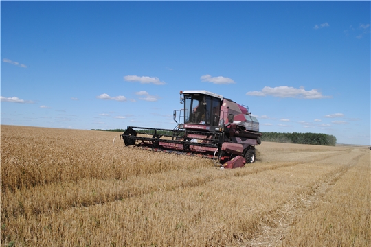 На полях района завершается уборка зерновых и зернобобовых культур