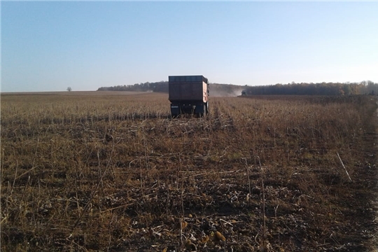 Завершились осенне-полевые работы на территории Старочукальского сельского поселения