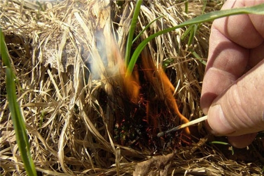 Травяной пал – это настоящее стихийное бедствие