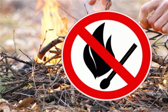 В Чувашии с 1 апреля установлен пожароопасный сезон, с 4 апреля – особый противопожарный режим
