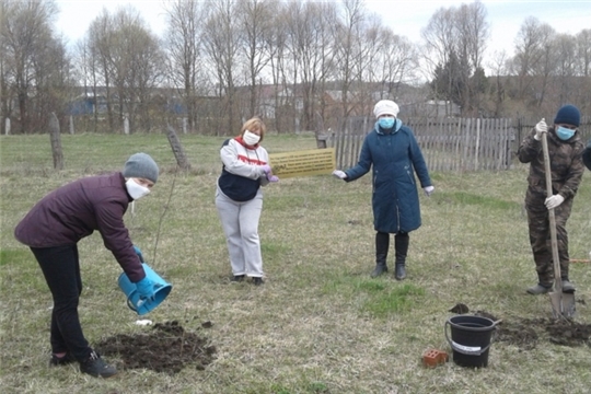 Шумерлинское сельское поселение присоединилось к Международной акции «Сад памяти»
