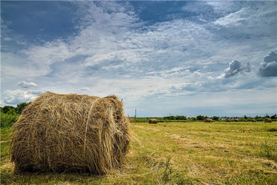 Шумерлинский район попал в  шестерку районов, где выполнены плановые показатели по заготовке сена