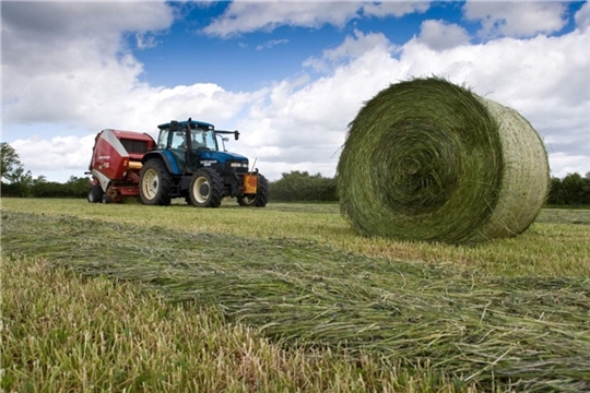 Шумерлинский район попал в десятку  районов, где выполнены плановые показатели по заготовке сена