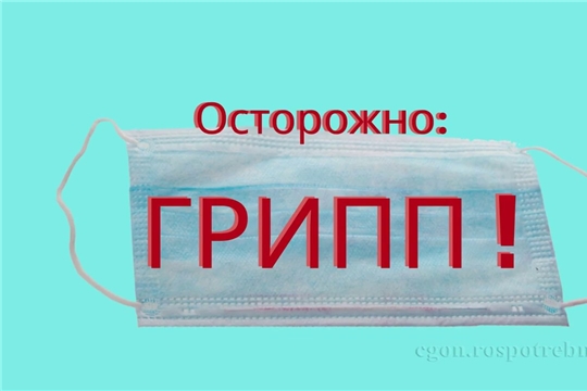 В Чувашской Республике началась прививочная кампания против гриппа
