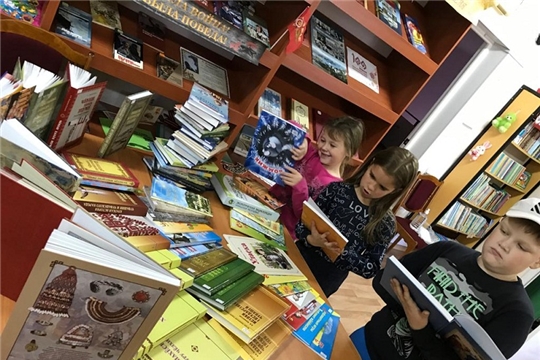 День информации «Новые книги в библиотеке» в Шумерлинской сельской библиотеке