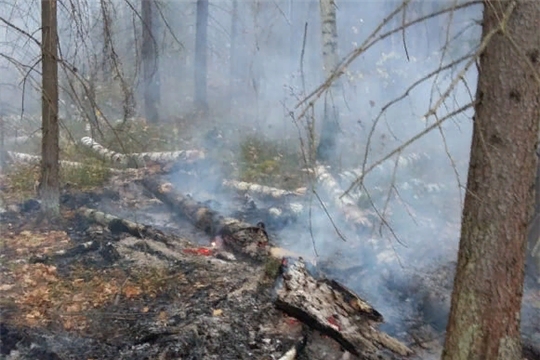 Сектор по делам ГО и ЧС администрации Шумерлинского района напоминает: соблюдайте правила пожарной безопасности в лесах!