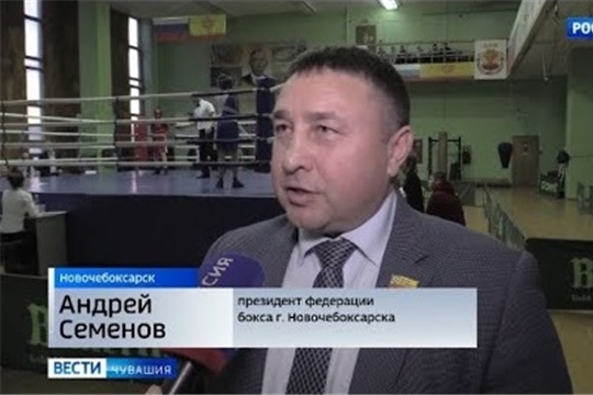 Стартовал чемпионат Чувашии по боксу