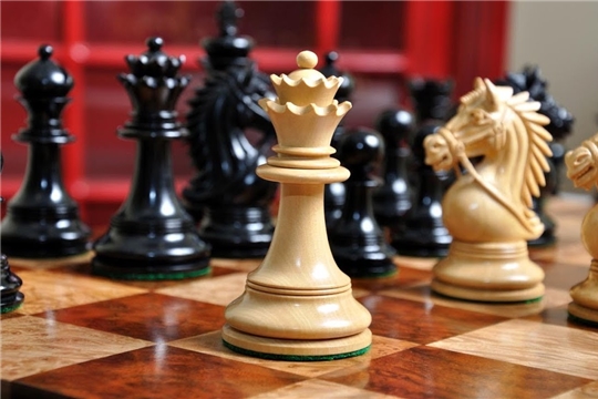 В Чувашии впервые прошел интернет-турнир по блиц-шахматам