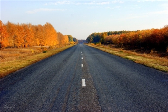 Объявлены аукционы на строительство автомобильных дорог в Батыревском и Чебоксарском районах Чувашской Республики