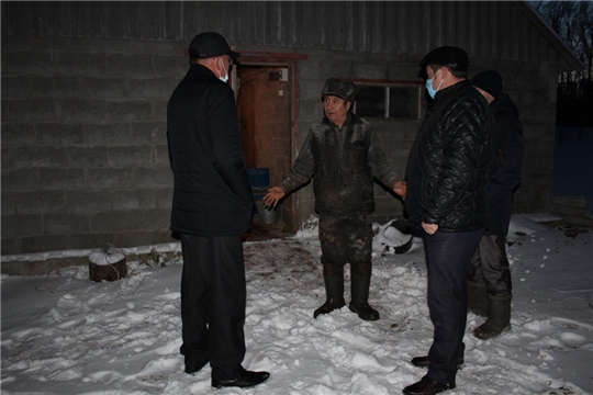 Д. Иванов ознакомился  с ходом зимовки скота в КФХ «Ильина А.Н.»