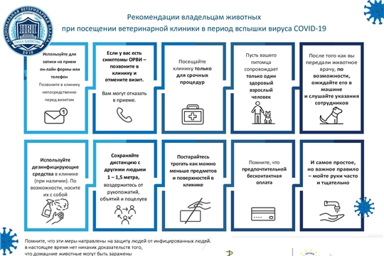 Рекомендации Национальной ветеринарной палаты в связи со вспышкой нового коронавируса COVID — 19