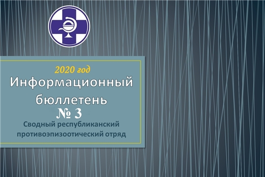 Информационный бюллетень № 3