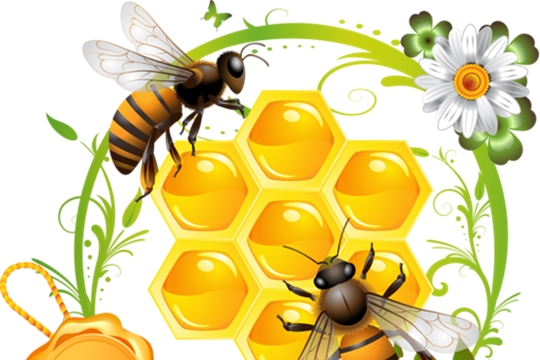 Паспортизация пасек и профилактика болезней пчёл