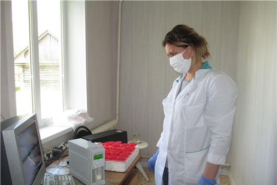 Качество сырого молока в ЛПХ Ибресинского района на контроле  ветеринарных специалистов