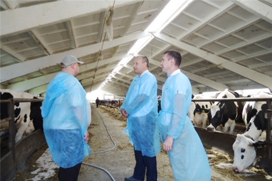 Комиссия посетила молочно-товарную ферму ОАО «Чурачикское»