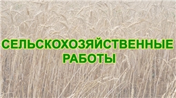 Сельскохозяйственные работы - 2026