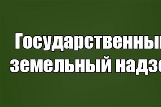 Росреестр не будет проводить плановые проверки юрлиц и ИП до конца 2020 года