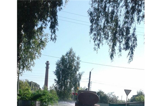 Дезинфекция улиц города