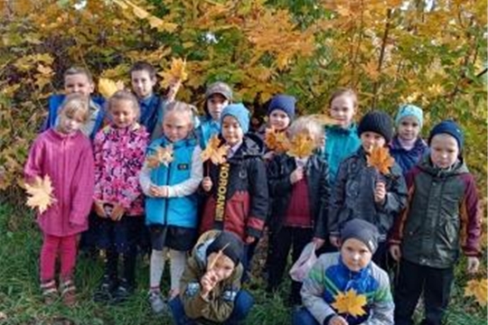 В районе продолжается месячник по благоустройству и озеленению территорий образовательных организаций