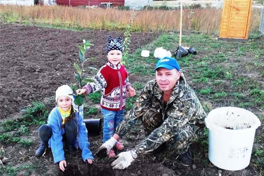 В Год памяти и славы. Посадим дерево – в память о герое  семьи, во имя вечности и жизни