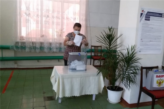 В Малотаябинском сельском поселении проходит Общероссийское голосование