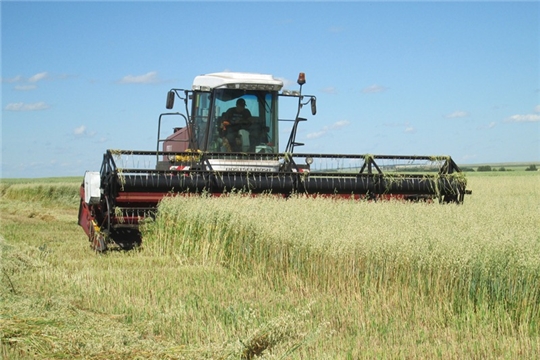 Сельхозорганизации Яльчикского района приступили к уборке зерновых и зернобобовых культур