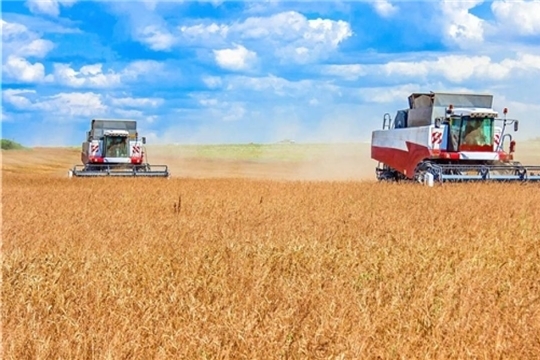 В хозяйствах республики намолочено более 500 тыс. тонн зерна