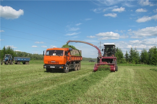 В Янтиковском районе продолжается заготовка кормов