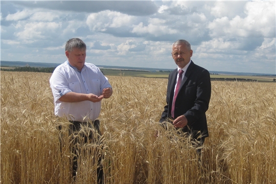 Владимир Ванерке посетил сельскохозяйственные предприятия района, начавшие уборку зерновых культур