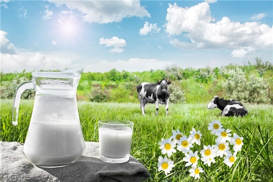 Лето — сезон «большого молока»