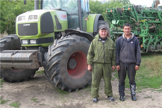 О ходе уборочных работ