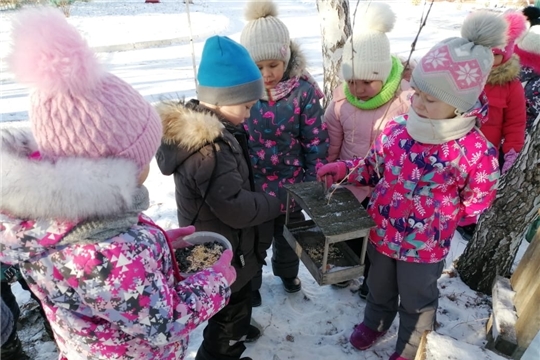 Воспитанники дошкольных учреждений Янтиковского района провели экологическую акцию «Покорми птиц»